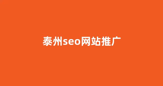 蜘蛛池优化seo公司